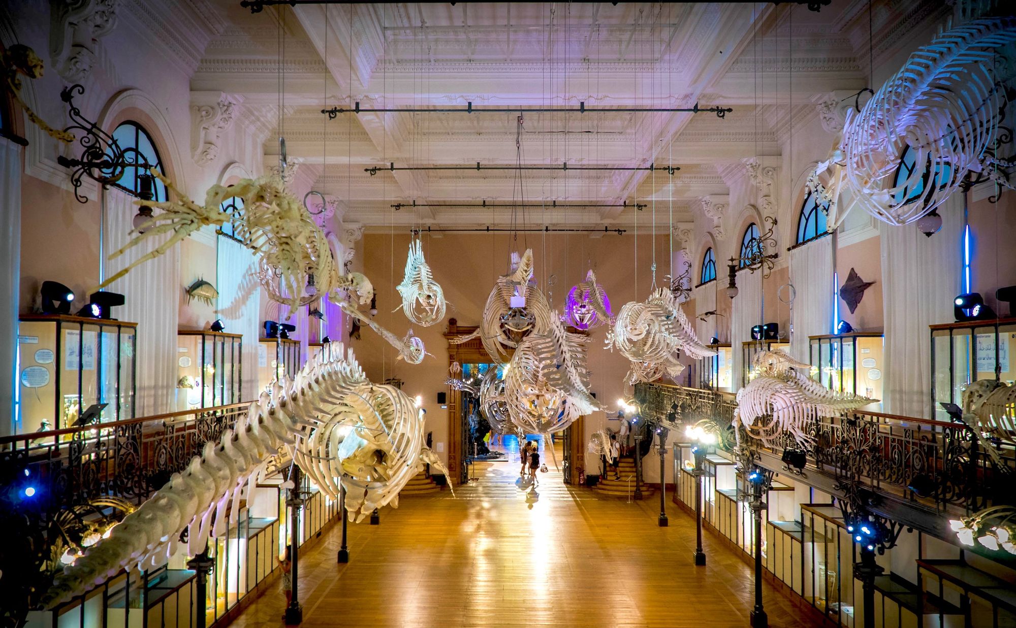 Oceanographic Museum of Monaco