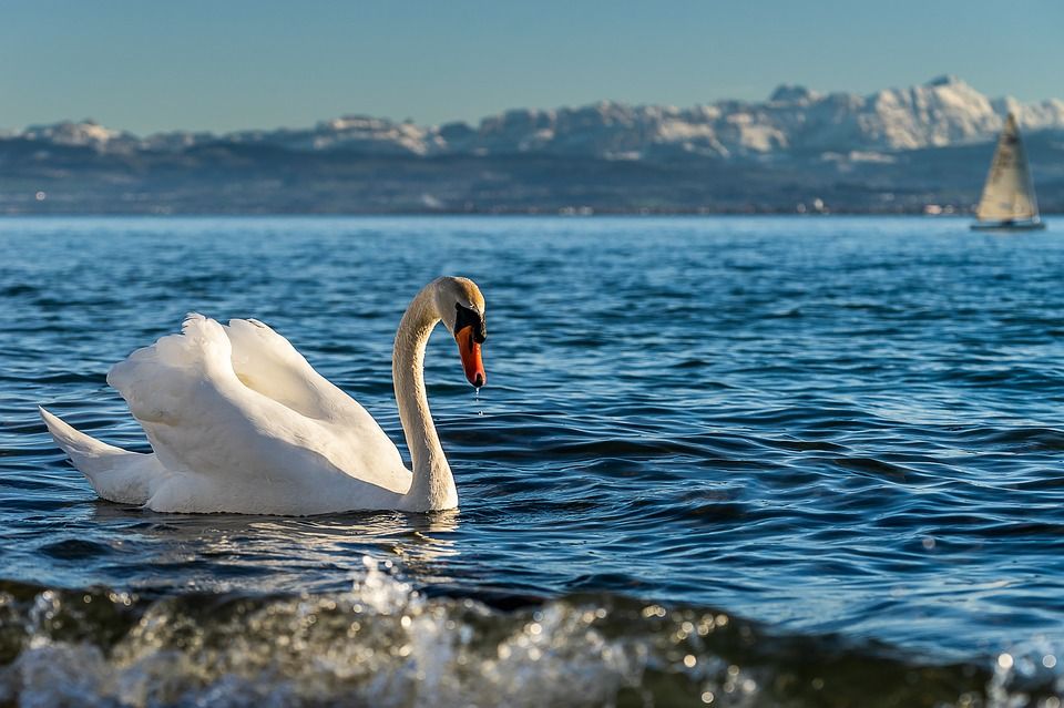 Natural adventures on Lake Constance