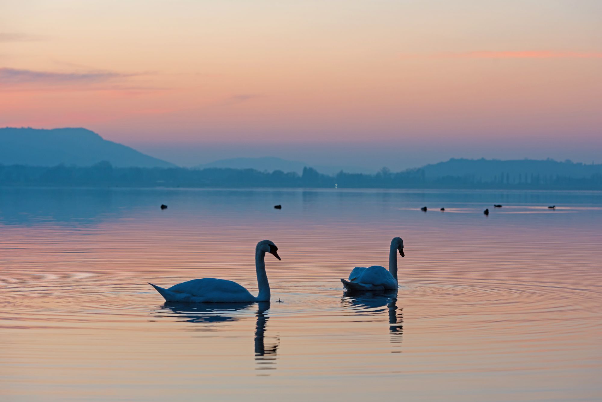 Natural adventures on Lake Constance