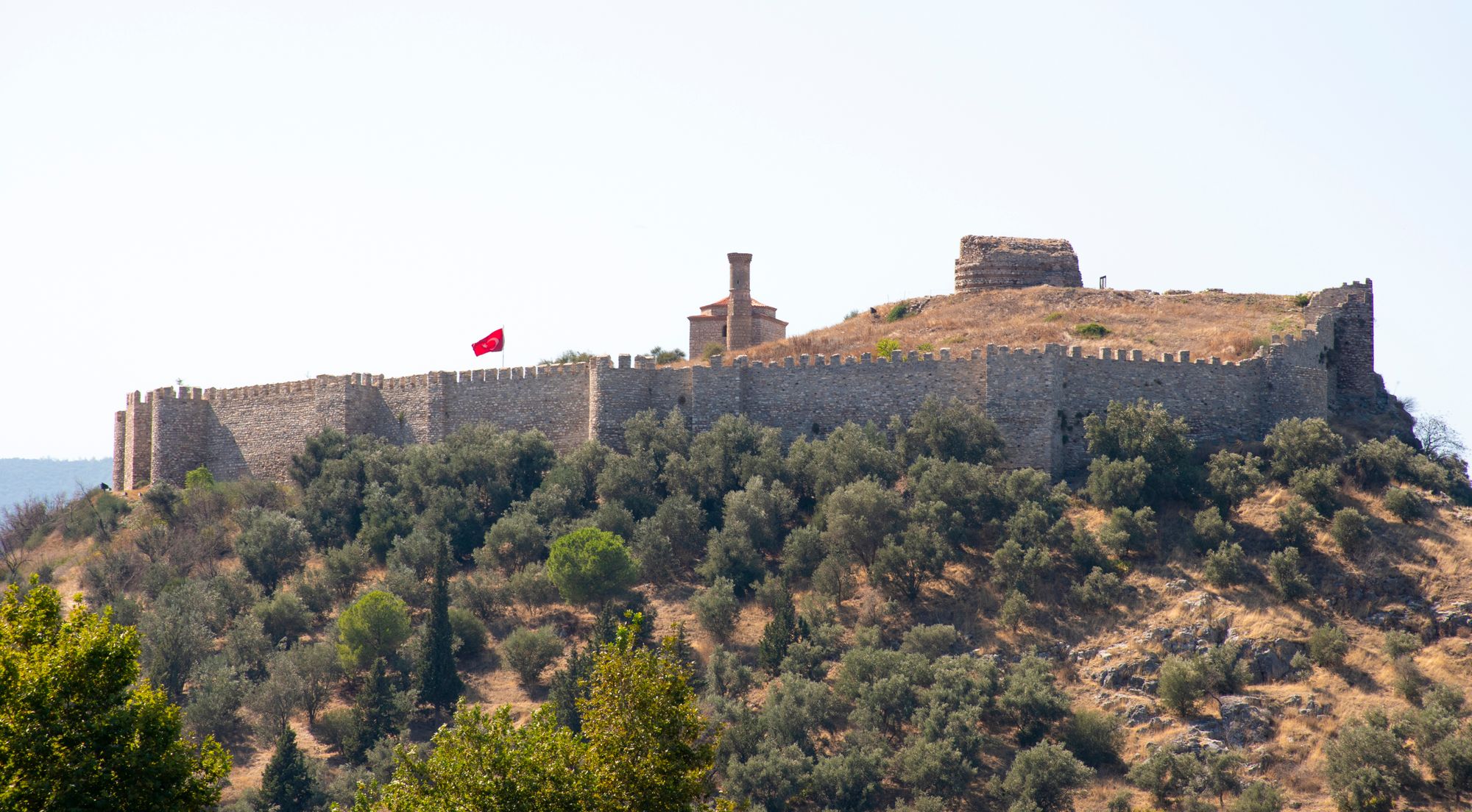 Selçuk Castle