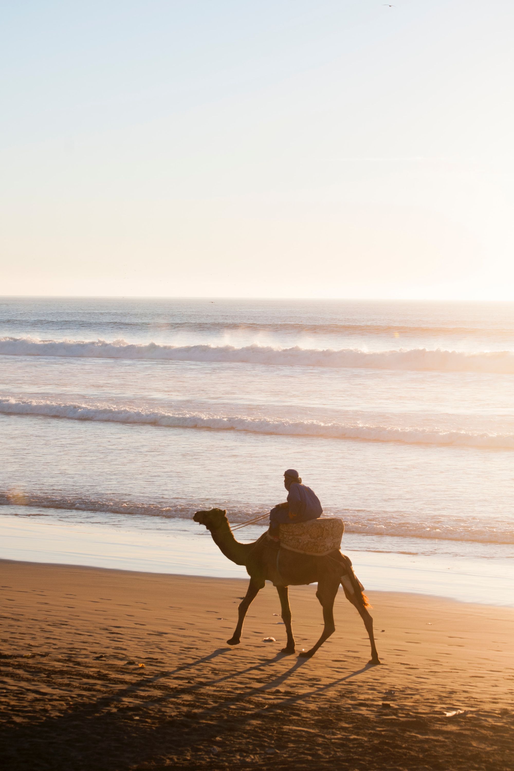 Horse-riding along the beautiful sand at Agadir beach