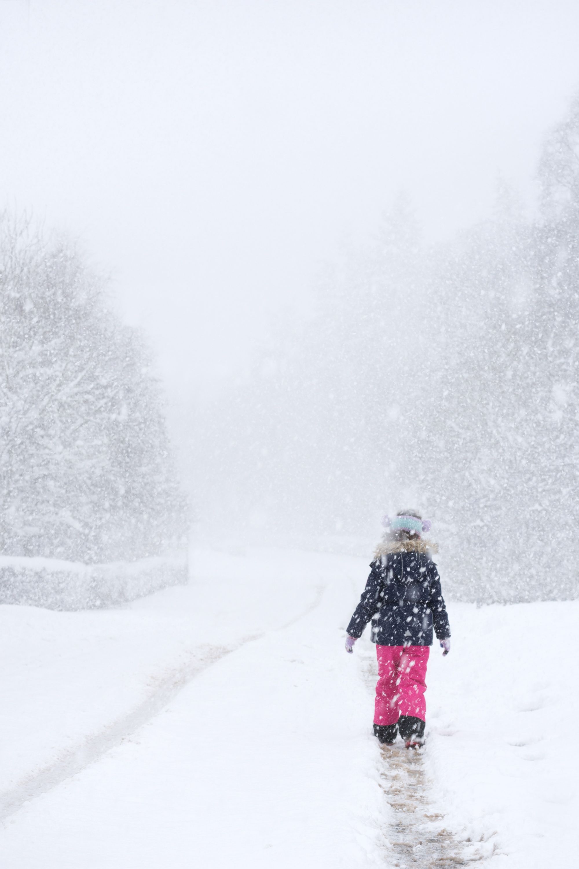 Snow Activities in the Cairngorms National Park