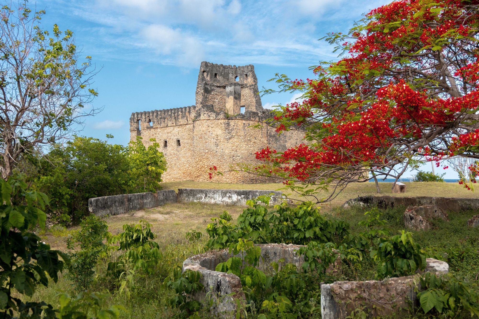 Great Mosque of Kilwa ruins